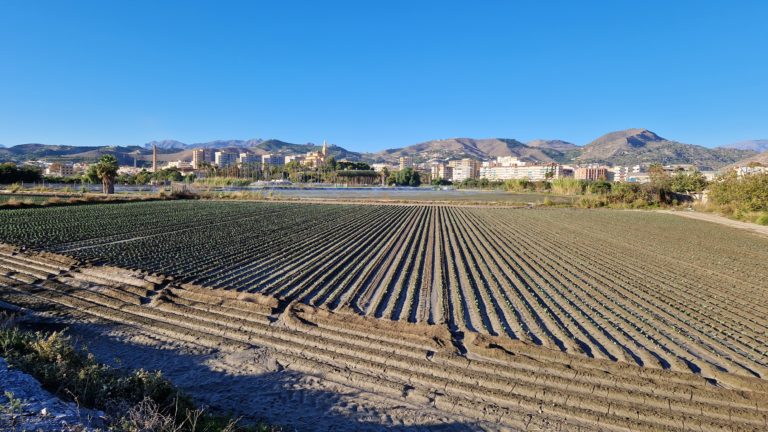 img-cultivos-motril