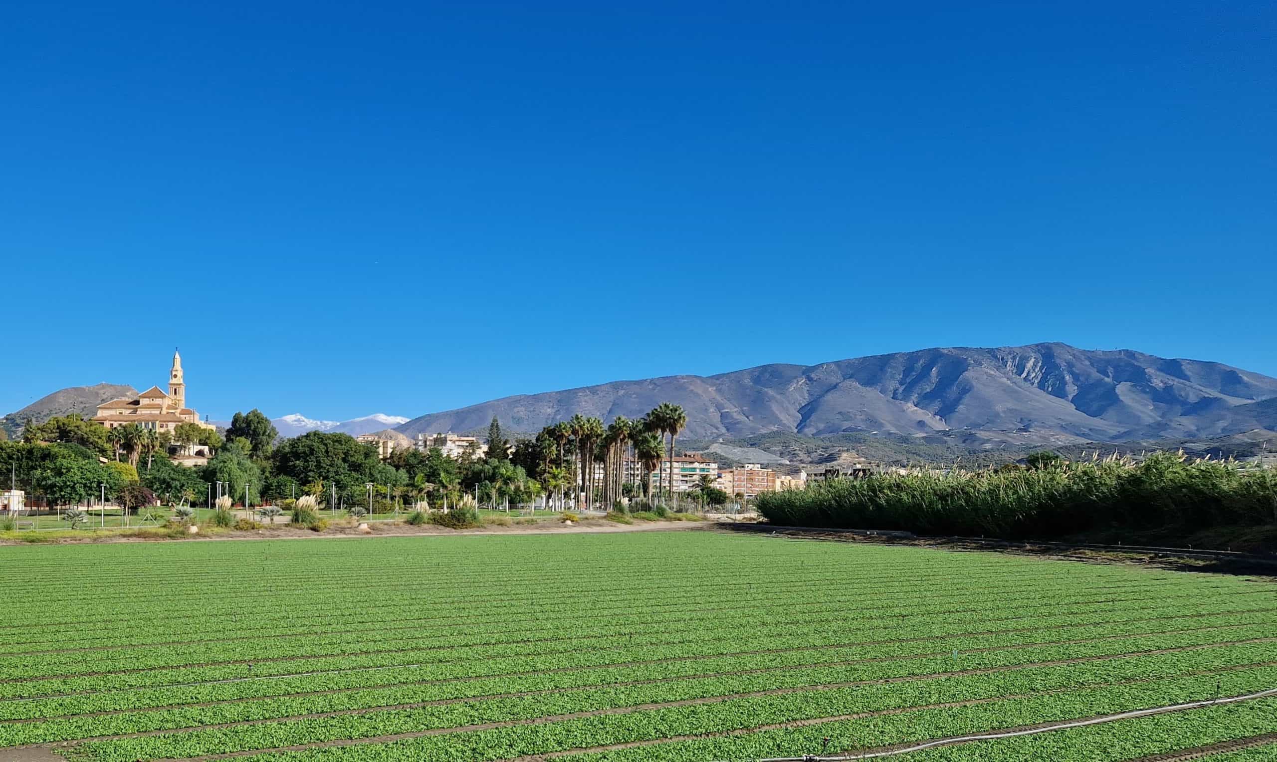paisaje-motril